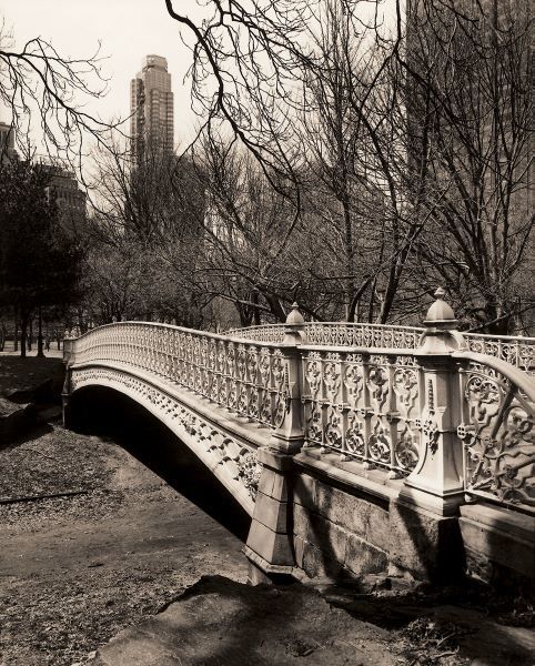 Central Park Bridges 2