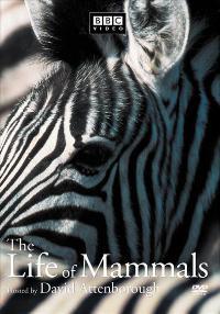 The Life of Mammals (TV)