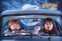 Harry Potter and the Chamber of Secrets