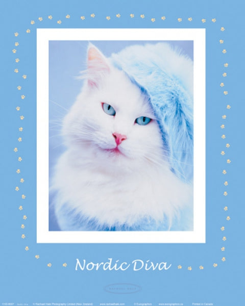 Nordic Diva