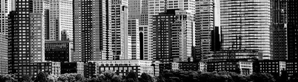 Panorama 1141 (b/w)