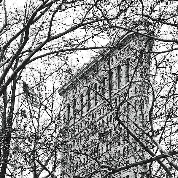 Veiled Flatiron Building (b/w) (detail)