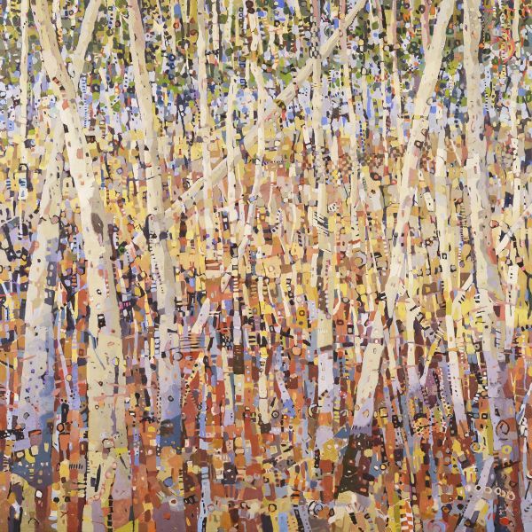 Birch Forest