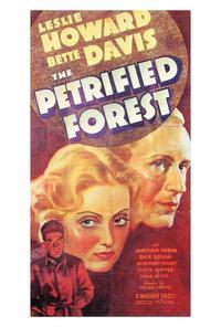 The Petrified Forest