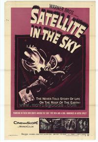 Satellite in the Sky