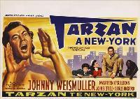Tarzan's New York Adventure