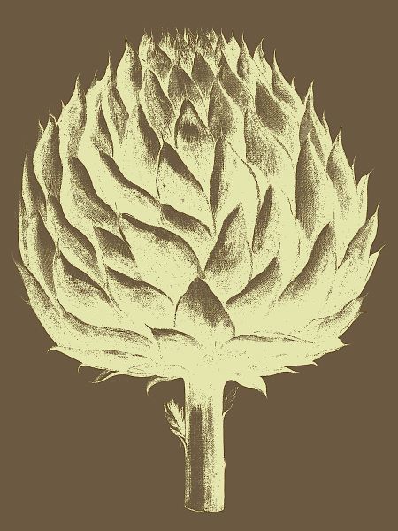 Artichoke 4