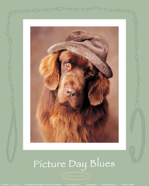 Picture Day Blues