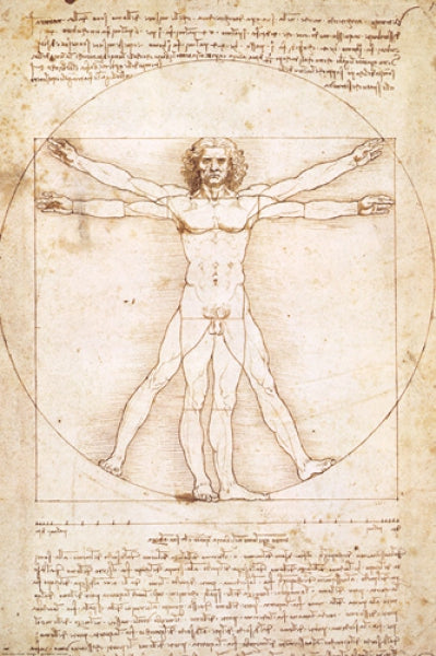 Human Proportions - Vitruvius Man
