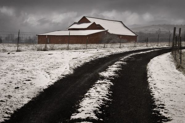 Late Winter Morning