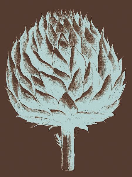 Artichoke 17