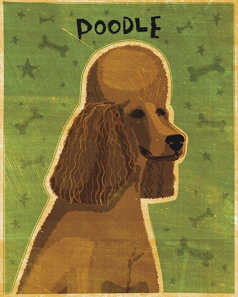 Poodle (brown)