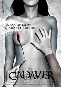 Cadaver