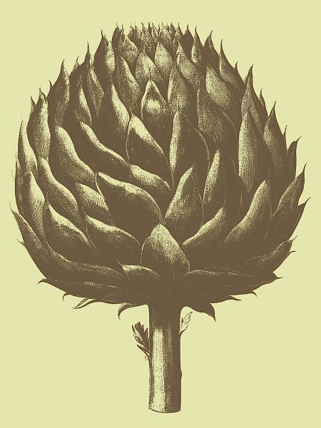 Artichoke 3