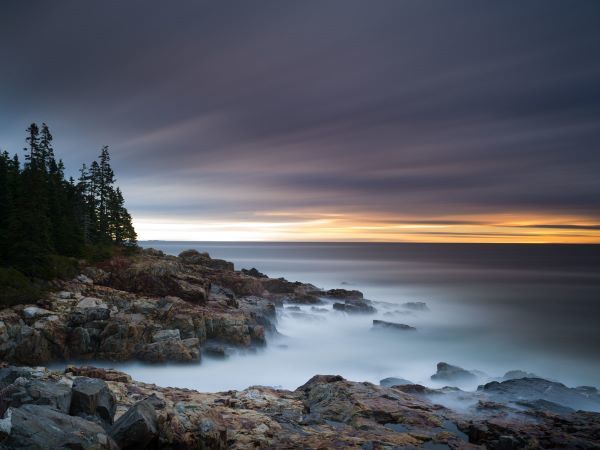 Misty Coastline