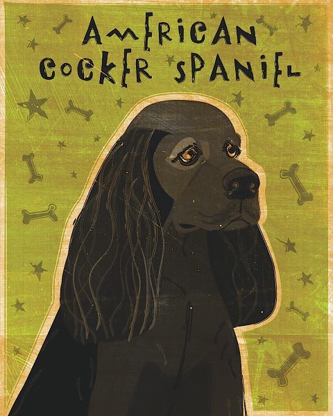 American Cocker Spaniel (black)