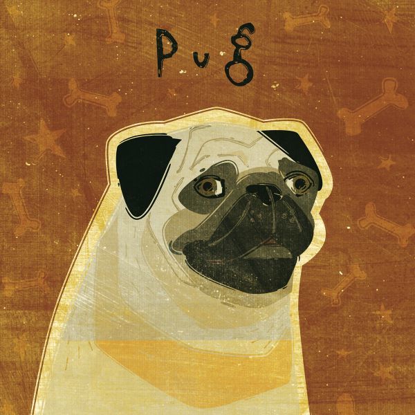 Pug (square)