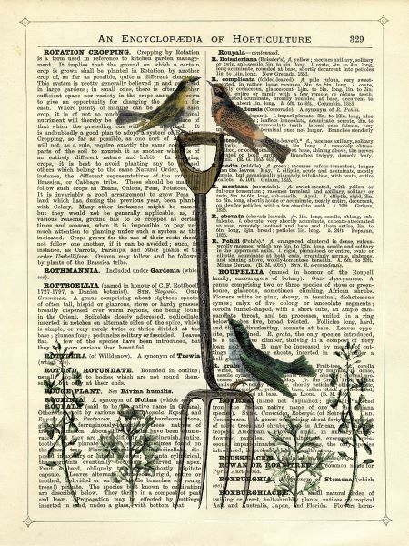 Garden Fork & Birds