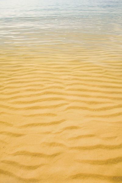 Ripples in the Sand