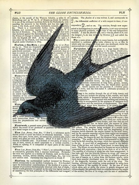 Blue Bird