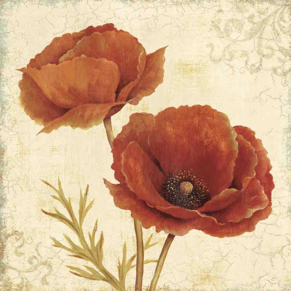 Poppy Bouquet I