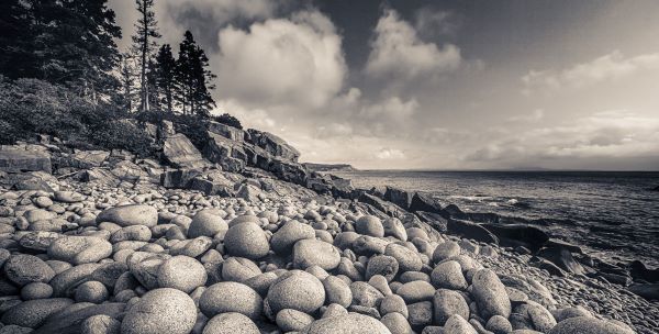 Otter Cliff Coastline