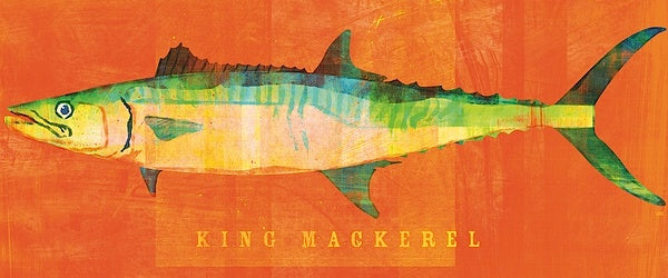 King Mackerel