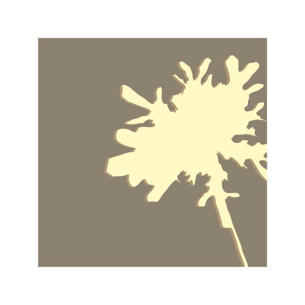 Pomponette Walnut