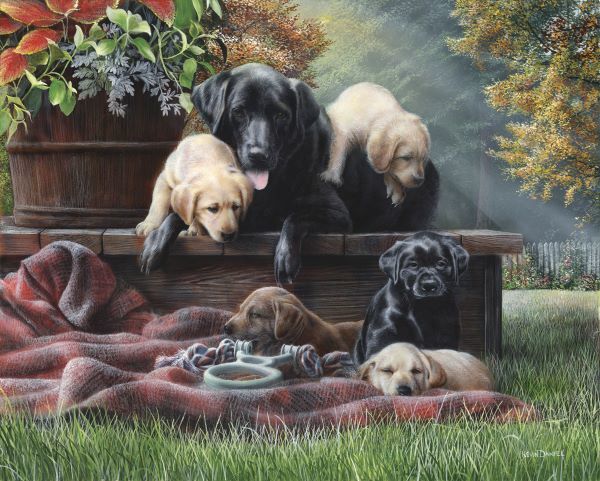 Cozy Moments