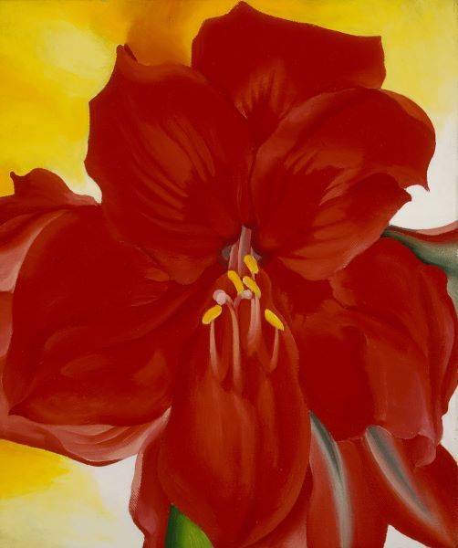 Red Amaryllis, 1937