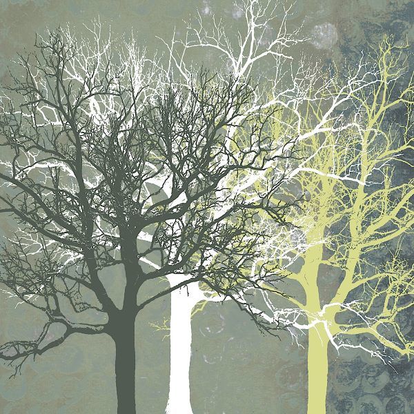 Tranquil Forest