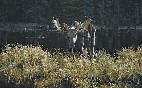 Autumn Foraging