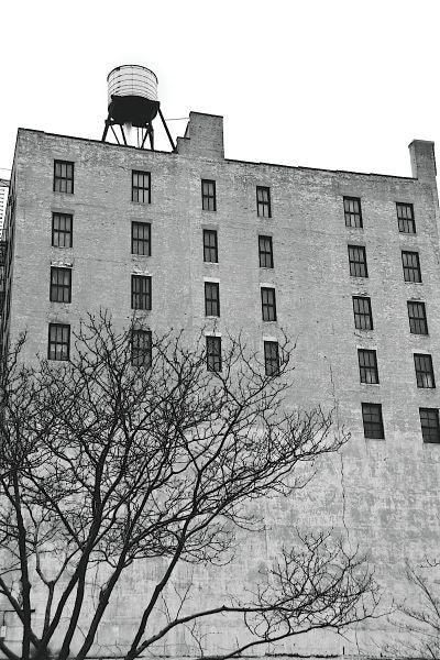 Twenty-six Windows (b/w)