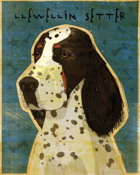 Llewellin Setter