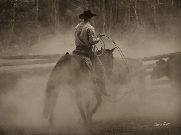 Lost Canyon Cowboy