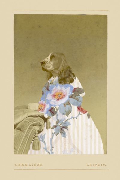 Constance