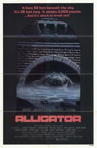 Alligator