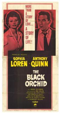 Black Orchid