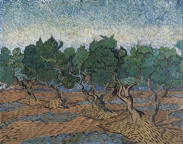 Olive Grove, 1889