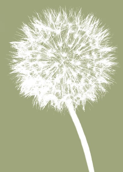 Dandelion (khaki)