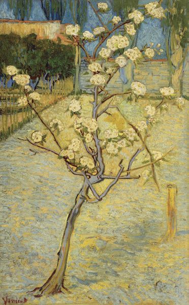 Small Pear Tree in Blossom, 1888
