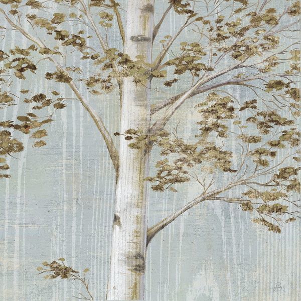 Birch Study II