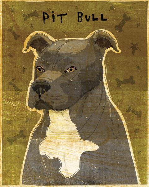 Gray Pit Bull