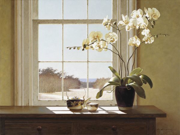 Orchids with Teapots