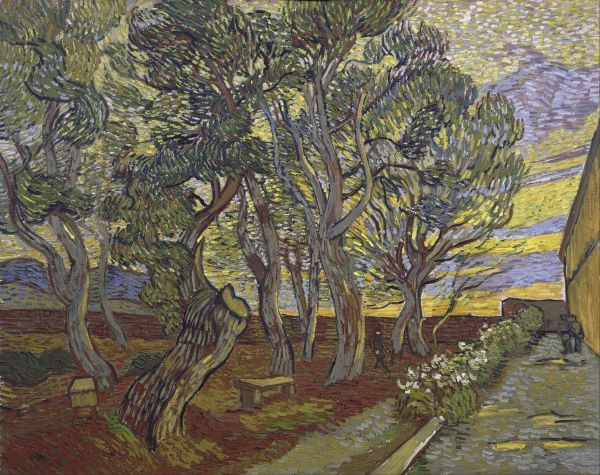 The Garden of Saint Paulâ€™s Hospital, 1889
