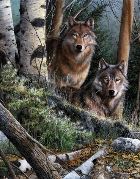 Watchful Eyes
