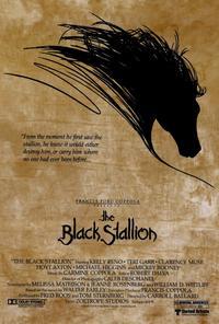 The Black Stallion