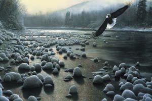 Eagle Over Water