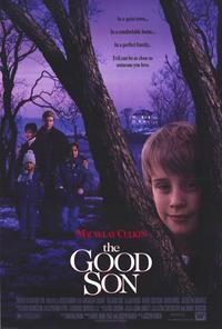 The Good Son