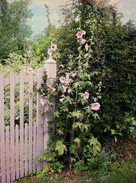 Gerberoy Gate